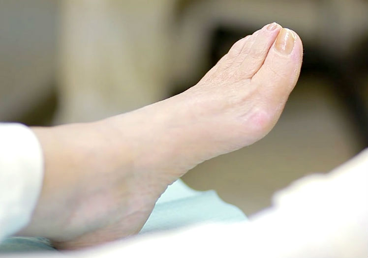 geriatrico